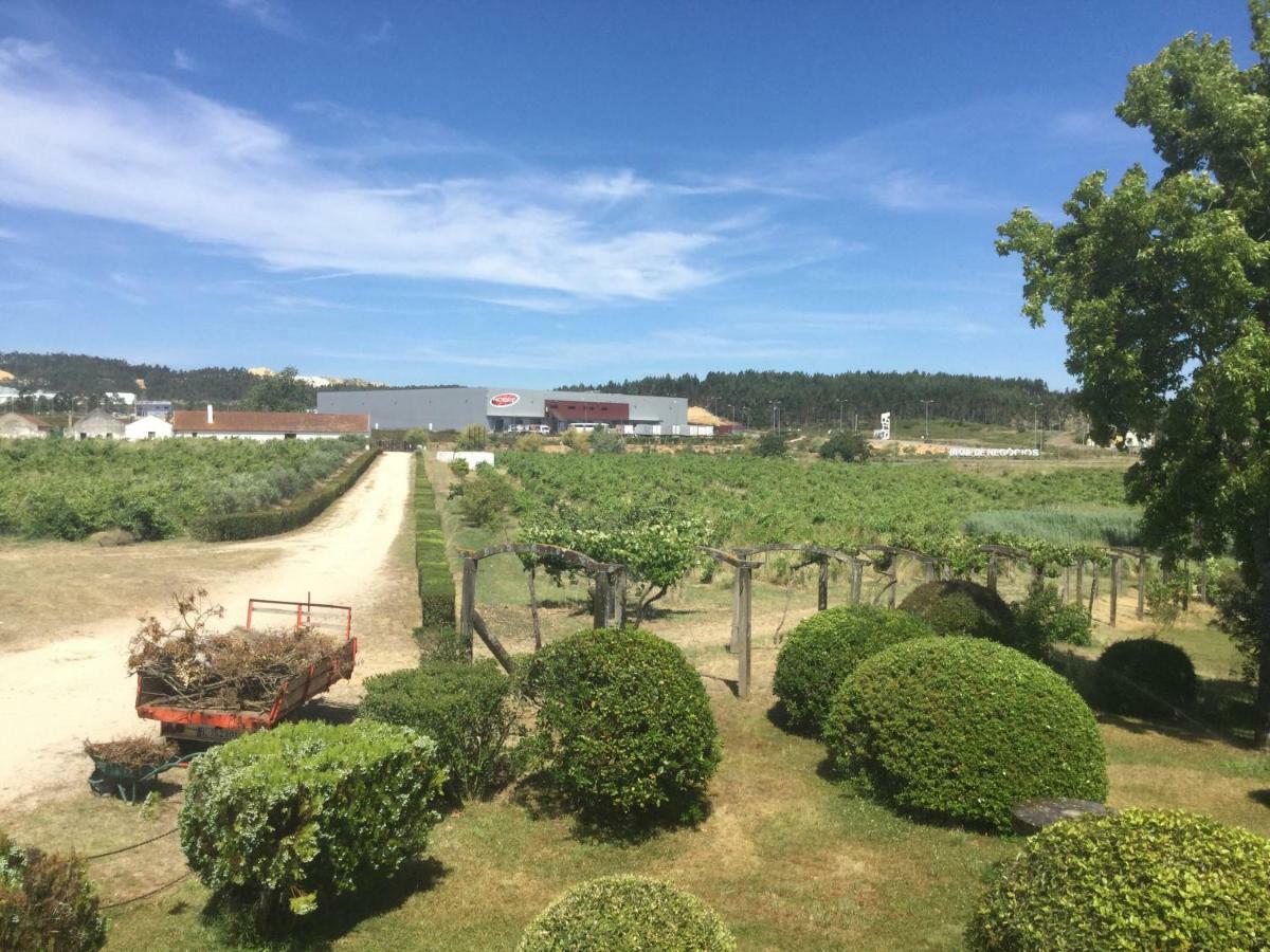 הוילה ריו מאיור Quinta Do Sanguinhal מראה חיצוני תמונה