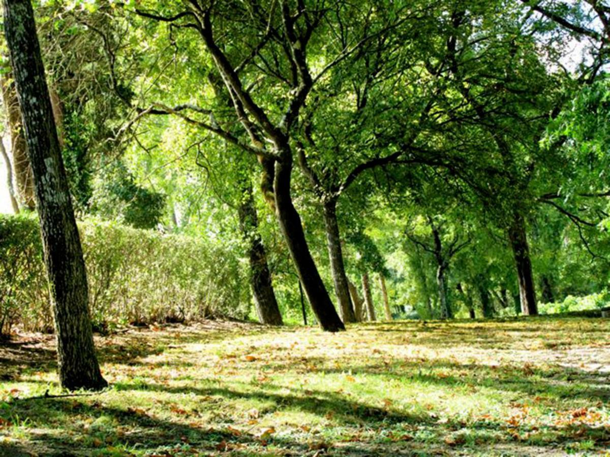 הוילה ריו מאיור Quinta Do Sanguinhal מראה חיצוני תמונה