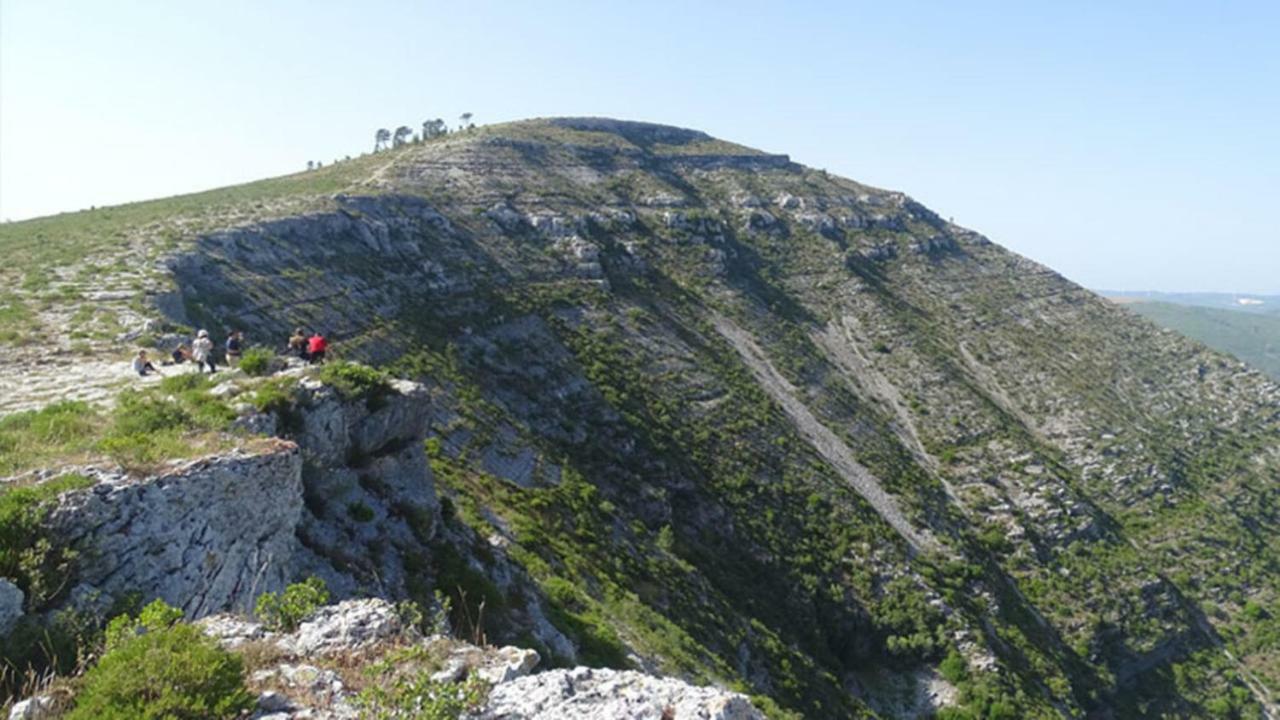 הוילה ריו מאיור Quinta Do Sanguinhal מראה חיצוני תמונה